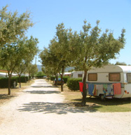 Camping spacieux dans le Vaucluse